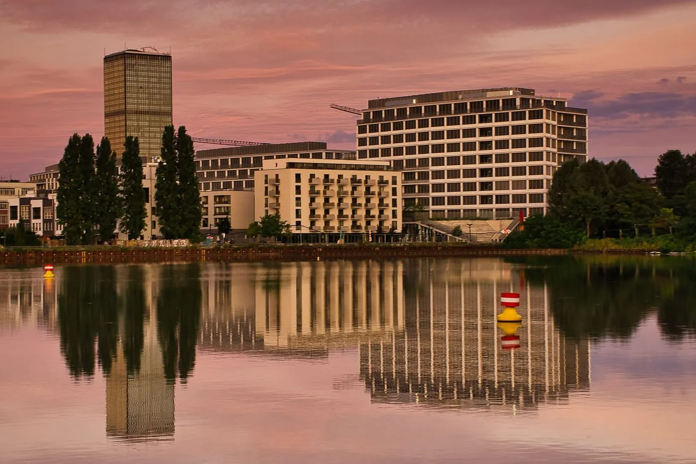 Curățenie în Floreasca