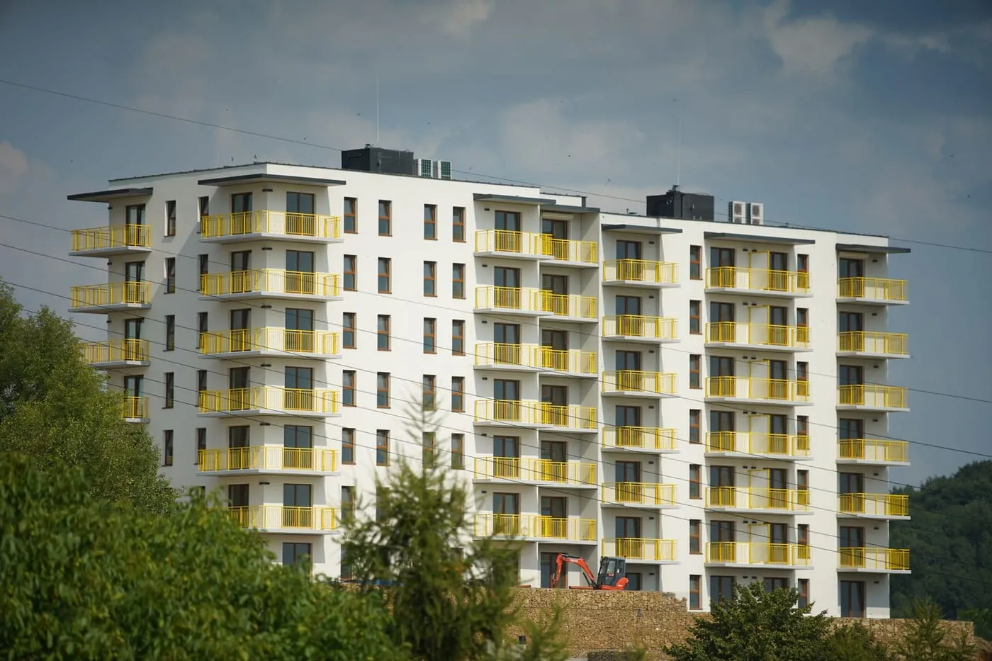 Curățenie în Popești-Leordeni